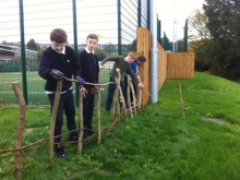Building woven hedges
