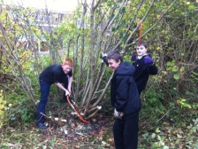 coppicing in the school woodland.